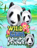 รีวิวการดาวน์โหลด สล็อต xo: จากเพื่อนถึงเพื่อน